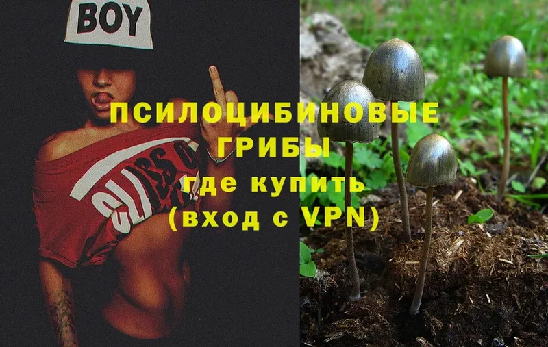 ссылка на мегу как войти  Горячий Ключ  Галлюциногенные грибы Psilocybe  где купить наркоту 